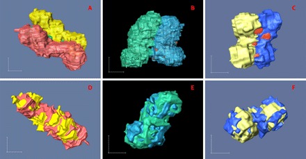 Fig. 4