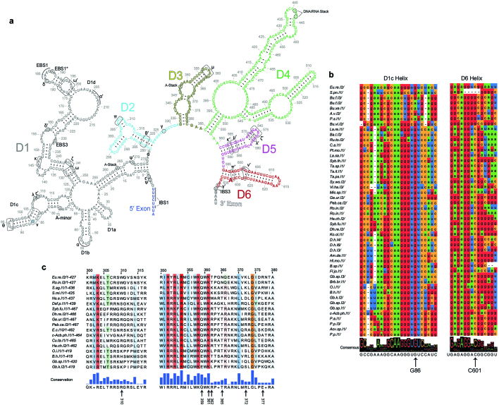 Extended Data Fig. 5