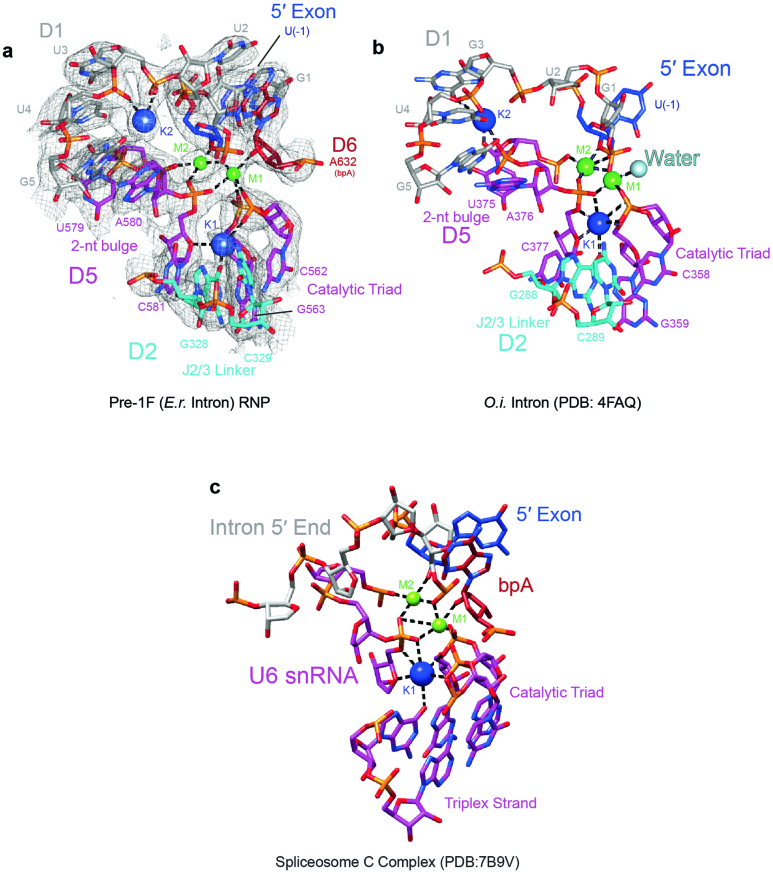 Extended Data Fig. 7