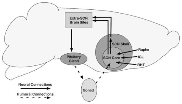 Fig. 9