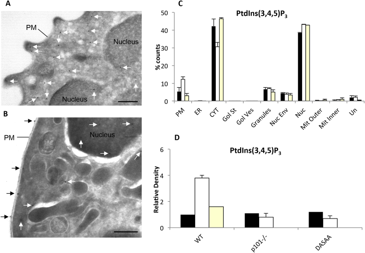 Fig. 4