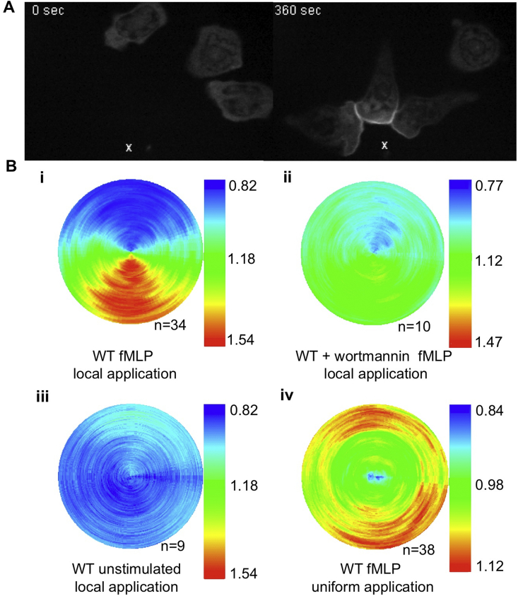 Fig. 1