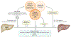 Fig. 2 |