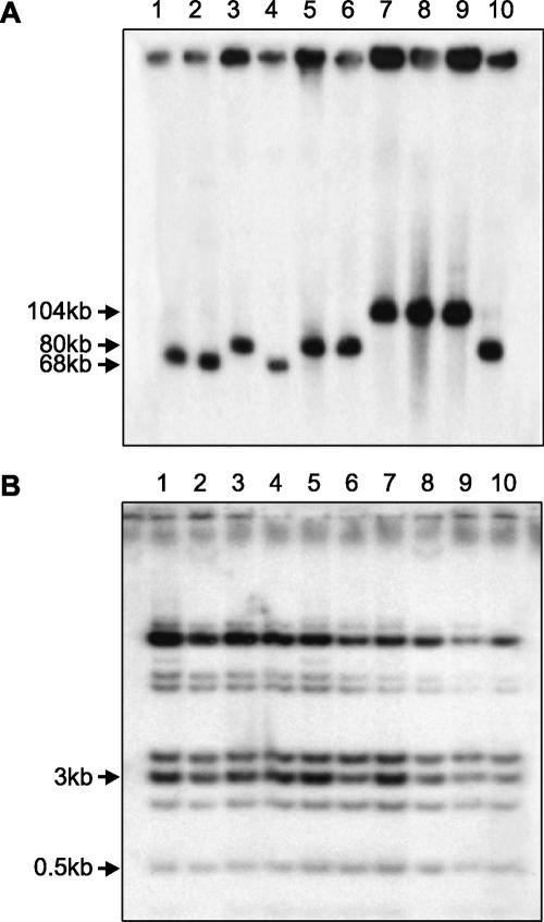 Figure 6.