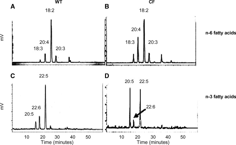 Fig. 6.