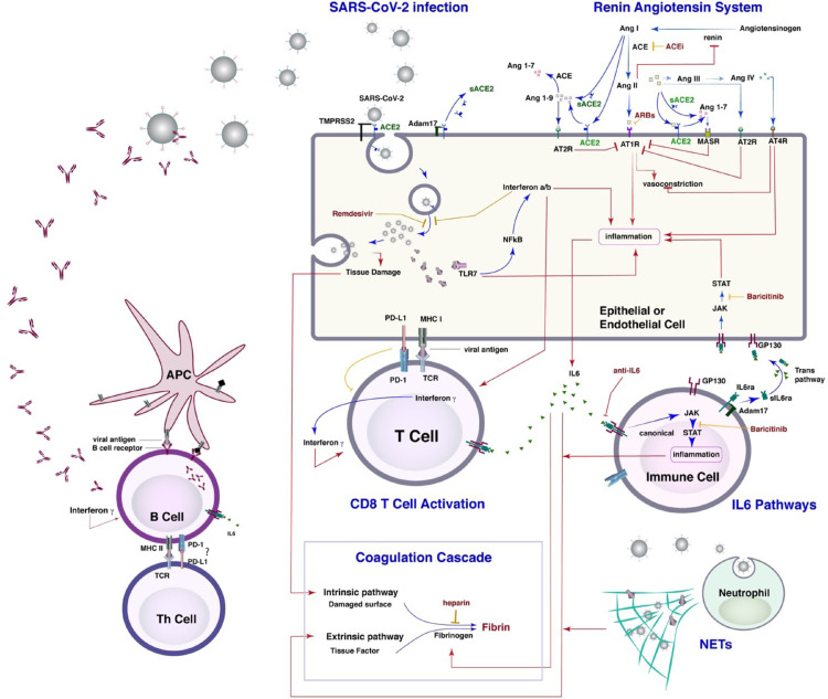 Fig 6