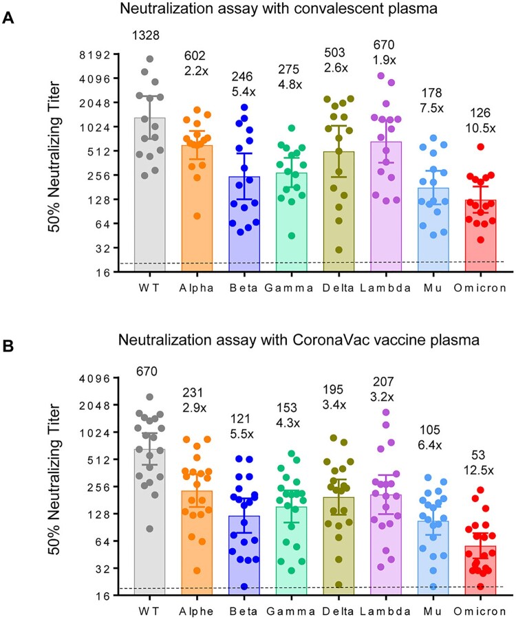 Neutralization assays were performed with the use of pseudoviruses expressing the S protein of SARS-CoV-2 WT, Omicron, Alpha, Beta, Gamma, Delta, Lambda, or Mu variants. Neutralization titre of plasma samples from 20 persons who had received two doses of CoronaVac vaccine (A) and 16 persons who had recovered from COVID-19 (B). The assay of each plasma sample was performed in two independent experiments to determine the EC50 neutralization titre. We excluded the plasma with titres below 40 against wild-type strain for comparison of titre changes with other VOC/VOI. Dots are neutralizing antibody titres for individuals. Numbers above the bars are GMTs, and the error bars indicate the 95% CI. The numbers in parentheses indicate the fold reduction in neutralization of the indicated variants as compared with that of the WT virus. The dashed lines indicate the limit of detection (LOD) in this assay (EC50 < 20).