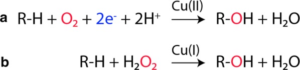 Fig. 2