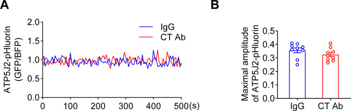 Figure 6—figure supplement 1.