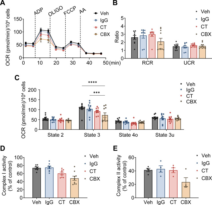 Figure 5—figure supplement 1.