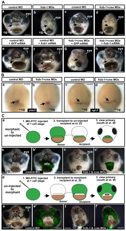 Fig. 3.