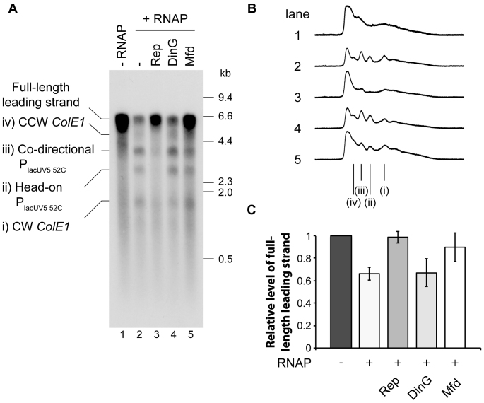 Figure 5.