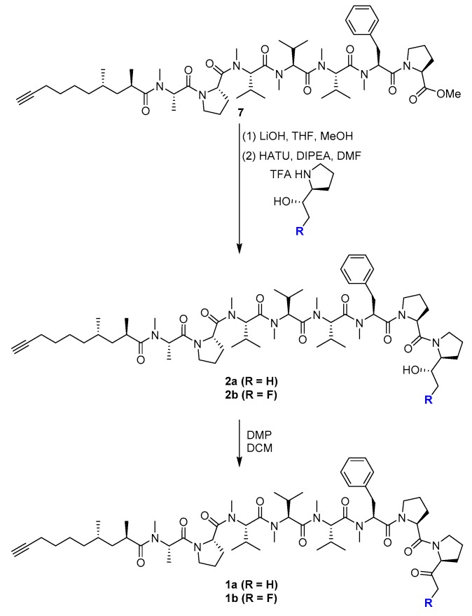 Scheme 3