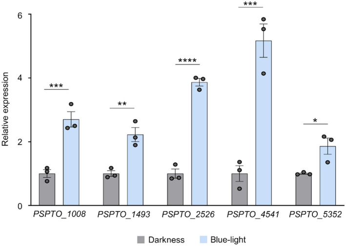 FIGURE 4
