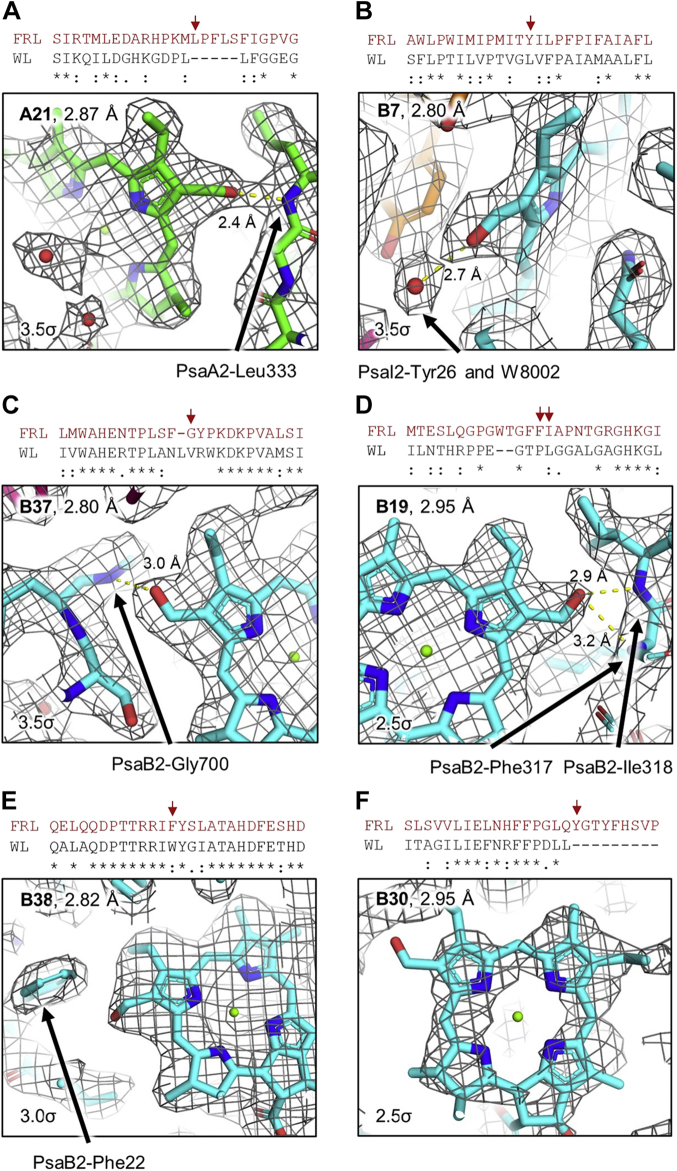 Figure 3