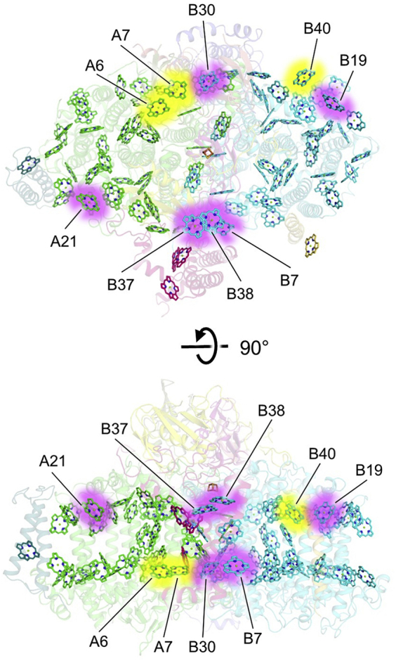 Figure 5