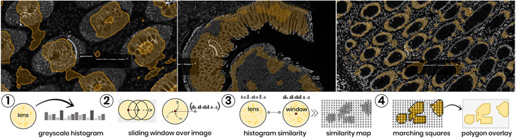 Fig. 6: