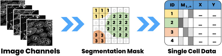 Fig. 2: