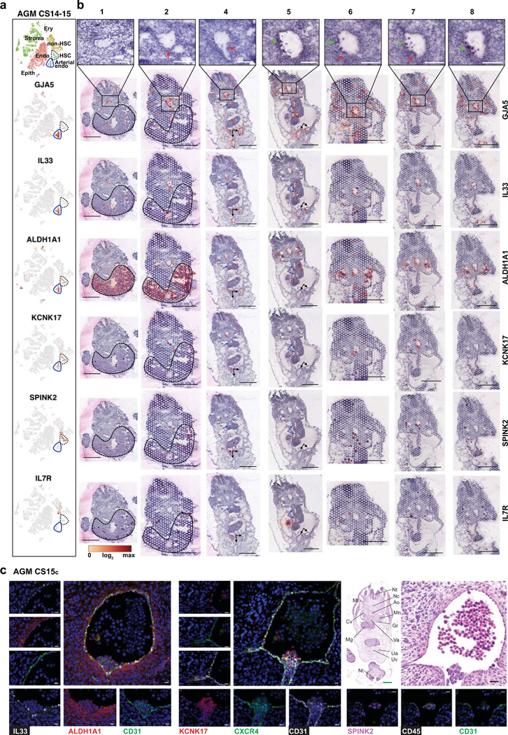 Extended Data Fig.6: