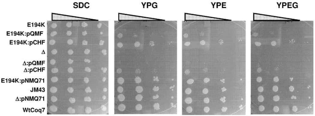 FIGURE 3