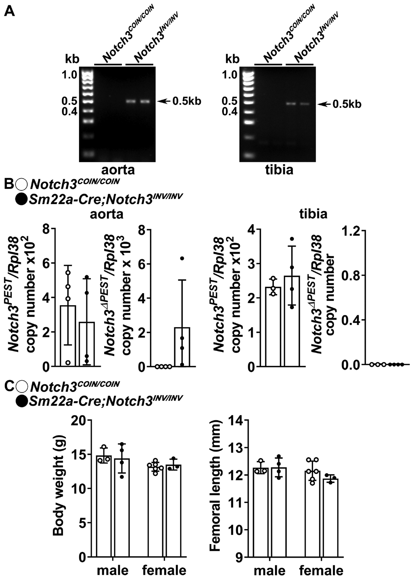 Figure 5.