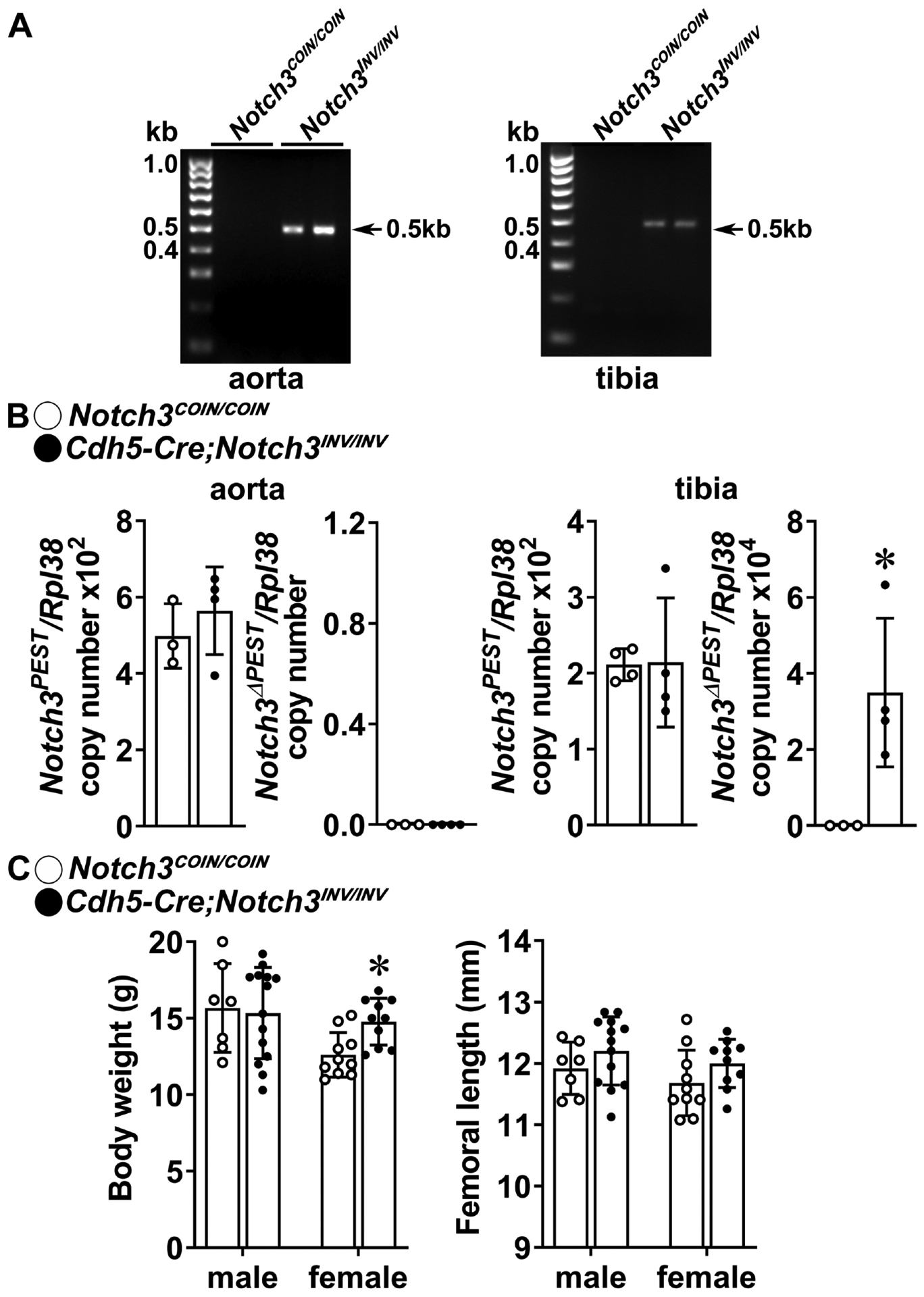 Figure 6.