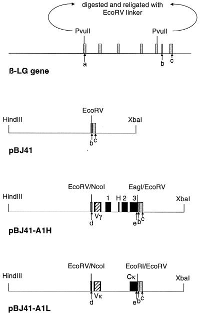 FIG. 1