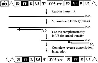 FIG. 6