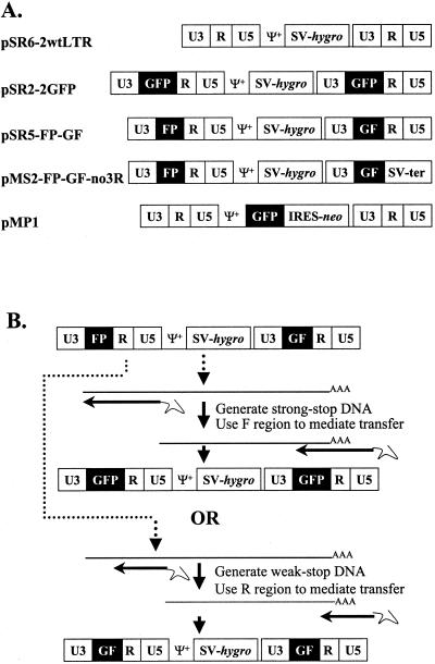 FIG. 1