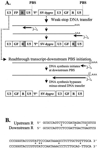 FIG. 5