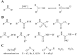 Fig. 21