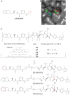 Fig. 20