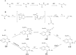 Fig. 23
