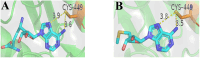 Fig. 18