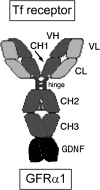 Fig. 1.