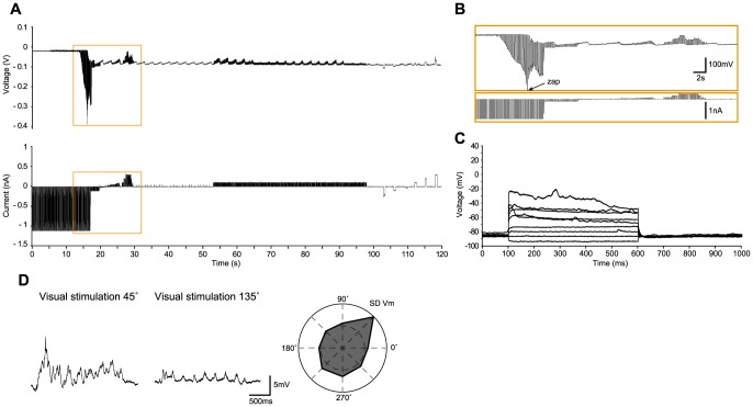 Figure 5