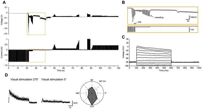 Figure 6