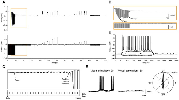 Figure 2