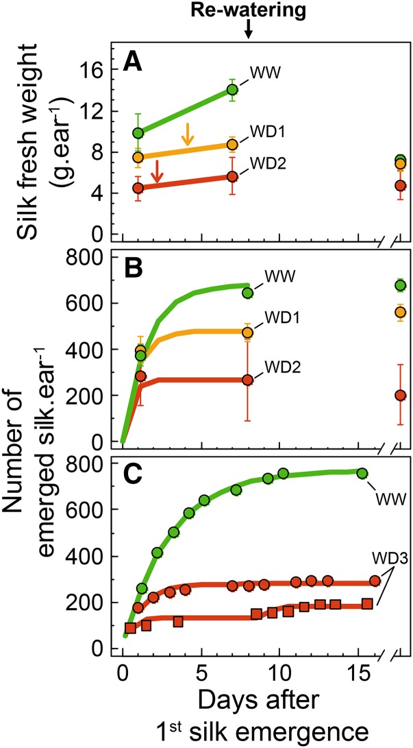 Figure 5.