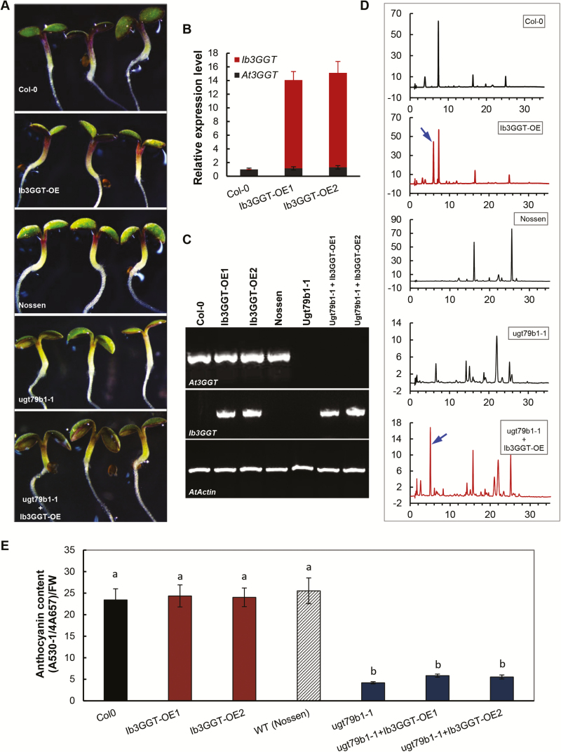 Fig. 4.