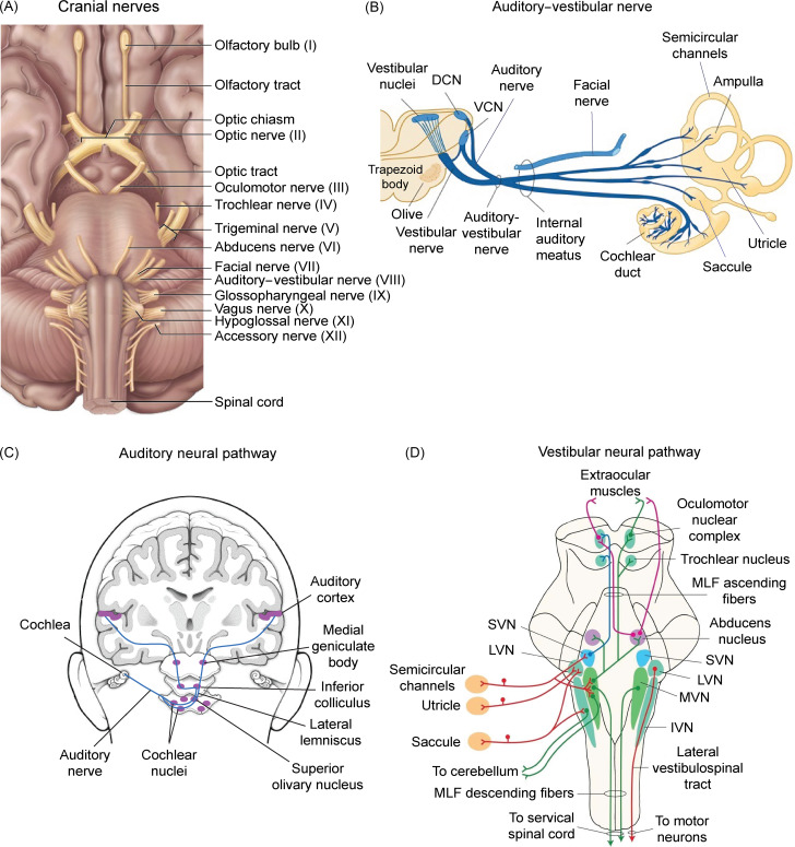 Figure 3: