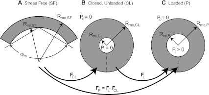 Fig. B1.