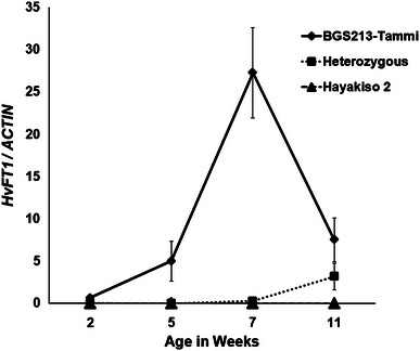 Fig. 4