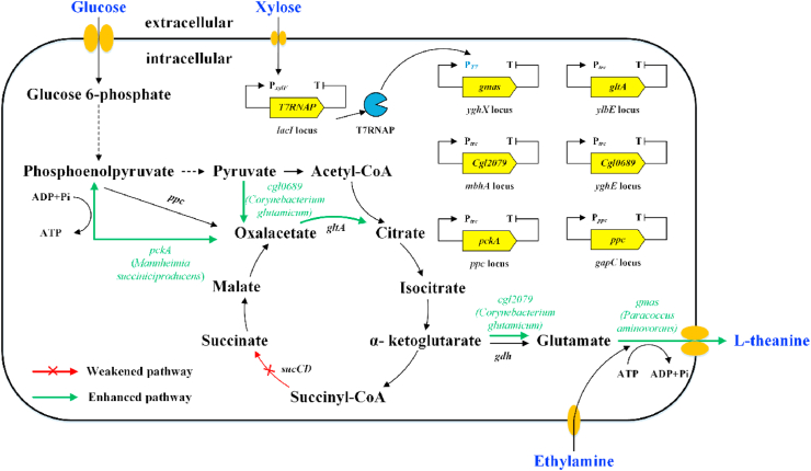 Fig. 1