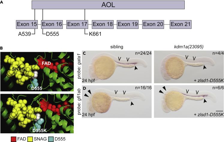 Figure 6