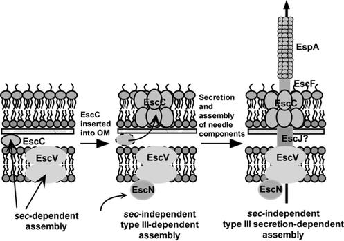 FIG. 5.