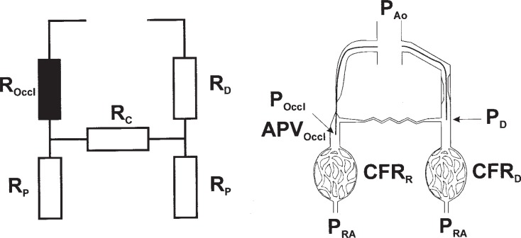 Fig. (1)