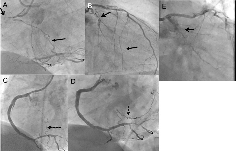 Fig. (3)