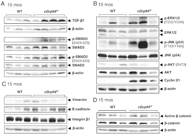 Figure 5