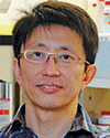 graphic file with name nihms-1005199-b0002.gif